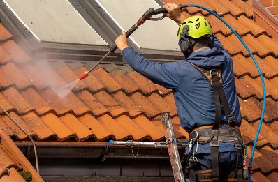 Démoussage et hydrofuge de toiture à Dému