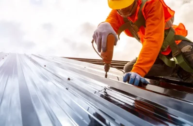 Travaux de zinguerie à Dému